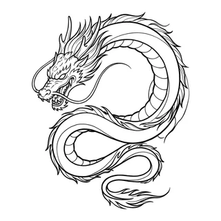 Black and white linework dragon tattoo design, outline stencil for a back tattoo