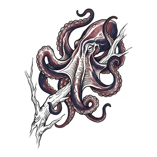 Color illustrative octopus tattoo design, drawn flat for a back tattoo