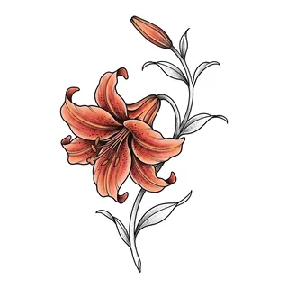 Color Japanese tattoo design, drawn flat for a back tattoo
