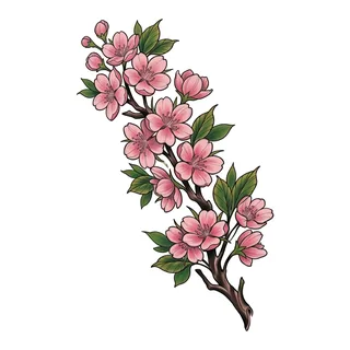 Color neo traditional cherry blossom tattoo design, drawn flat for a back tattoo
