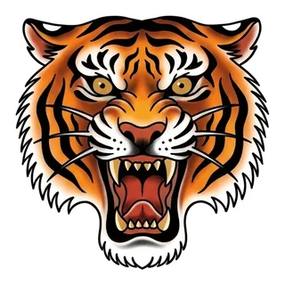 Color traditional tiger tattoo design, drawn flat for a back tattoo