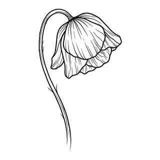 Black and white fine line flower tattoo design, outline stencil for a tattoo behind the ear
