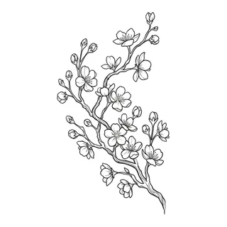 Black and grey ornamental tattoo design, drawn flat for a bicep tattoo