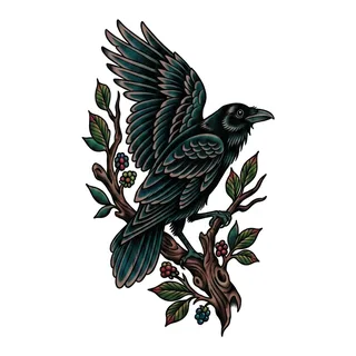 Color traditional raven tattoo design, drawn flat for a bicep tattoo
