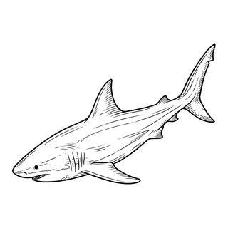 Black and white fine line shark tattoo design, outline stencil for a calf tattoo