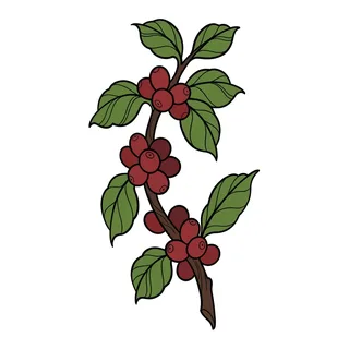 Color neo traditional tattoo design, drawn flat for a calf tattoo