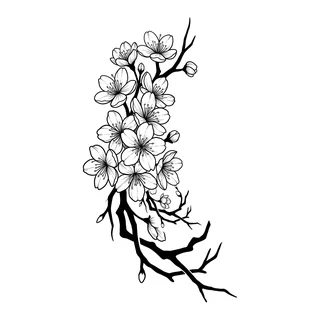 Black and white blackwork cherry blossom tattoo design, drawn flat for a foot tattoo