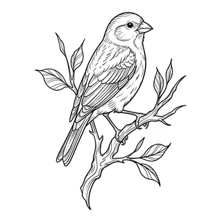 Black and white fine line bird tattoo design, outline stencil for a forearm tattoo