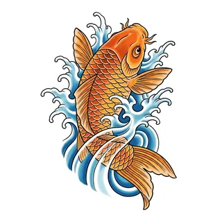 Color Japanese koi fish tattoo design, drawn flat for a hip tattoo