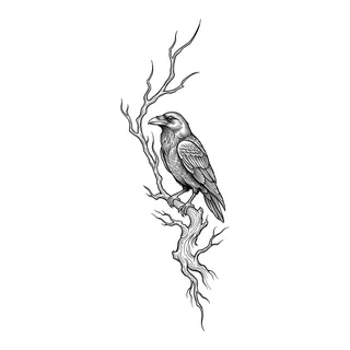 Black and grey illustrative raven tattoo design, drawn flat for a knee tattoo