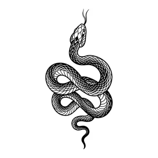 Black and white blackwork snake tattoo design, drawn flat for a lower back tattoo