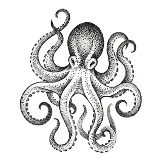 Black and grey dotwork octopus tattoo design, drawn flat for a palm tattoo