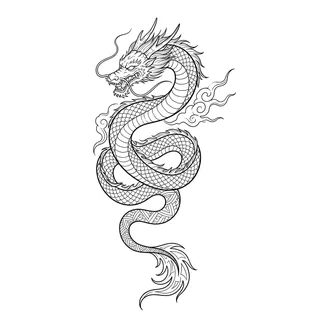 Black and white fine line dragon tattoo design, outline stencil for a ribs tattoo