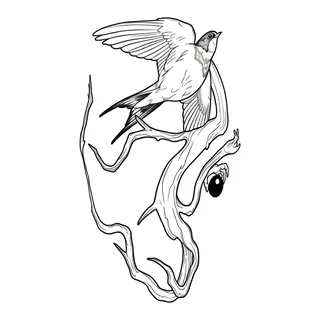 Black and white linework bird tattoo design, outline stencil for a shin tattoo