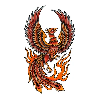 Color traditional phoenix tattoo design, drawn flat for a shoulder tattoo