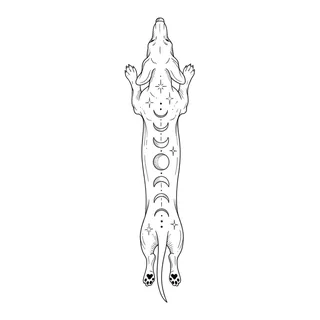 Black and white fine line tattoo design, outline stencil for a spine tattoo