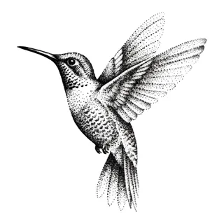 Black and grey dotwork tattoo design, drawn flat for a stomach tattoo