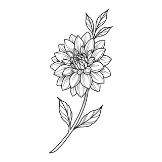 Black and white linework tattoo design, outline stencil for a stomach tattoo